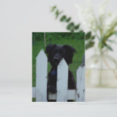 een oogje in het zeil houden briefkaart (Staand voorkant)