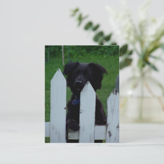 een oogje in het zeil houden briefkaart (Staand voorkant)