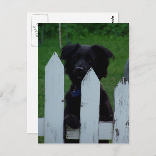 een oogje in het zeil houden briefkaart (Voorkant / Achterkant)