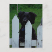 een oogje in het zeil houden briefkaart (Voorkant)