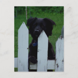 een oogje in het zeil houden briefkaart