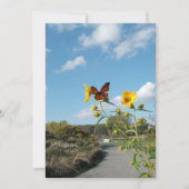 Een oogverblindend spektakel kaart (Voorkant)