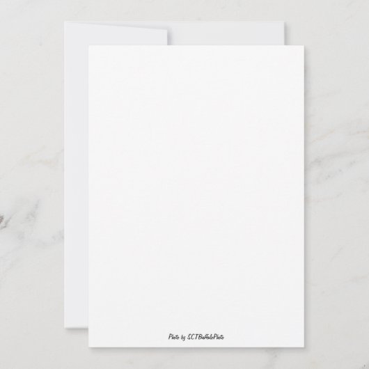 Een oogverblindend spektakel kaart (Achterkant)