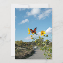 Een oogverblindend spektakel kaart