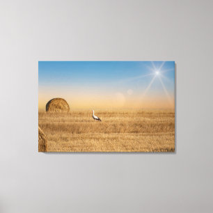 Een ooievaar canvas afdruk