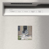 Een op een raket geprojecteerde renade magneet (Insitu (Vaatwasser))