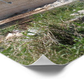 Een op een raket geprojecteerde renade poster (Hoek)