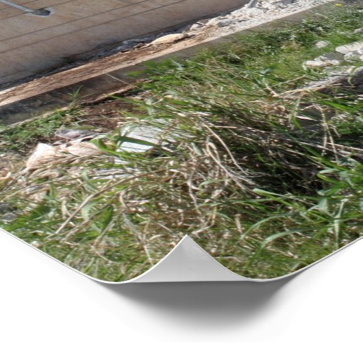 Een op een raket geprojecteerde renade poster (Hoek)