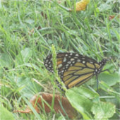 Een op maat gesneden vinylsticker met monoboogvlin sticker (Voorkant)