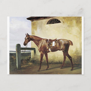 Een opgerold Race Paard verbonden aan een hek door Briefkaart