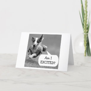 EEN OPGEWONDEN HOND KAN NIET WACHTEN OP JE VERJAAR KAART