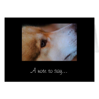 Een opmerking om te zeggen...