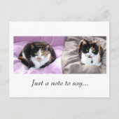 Een opmerking om te zeggen... briefkaart (Voorkant)