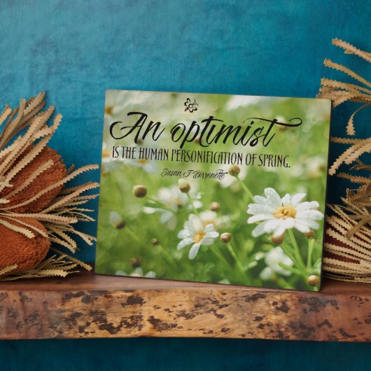 Een optimist fotoplaat (Zijkant)