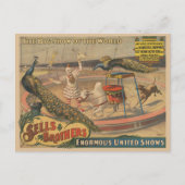 Een optredende zebu en pauw met clown trainer briefkaart (Voorkant)