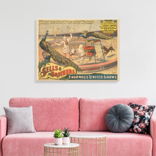 Een optredende zebu en pauw met clown trainer canvas afdruk (Insitu (Woonkamer))