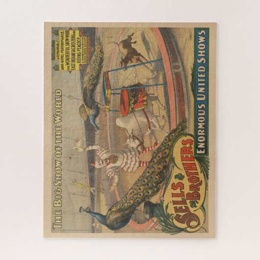 Een optredende zebu en pauw met clown trainer legpuzzel (Verticaal)