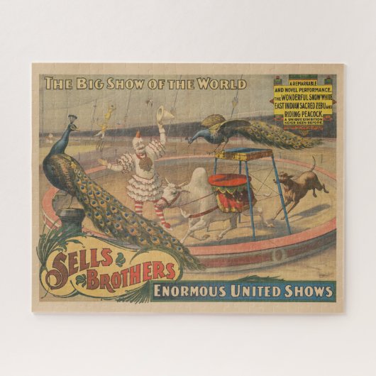 Een optredende zebu en pauw met clown trainer legpuzzel (Horizontaal)