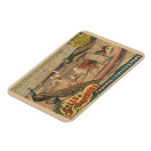 Een optredende zebu en pauw met clown trainer magneet (Linkerzijde)