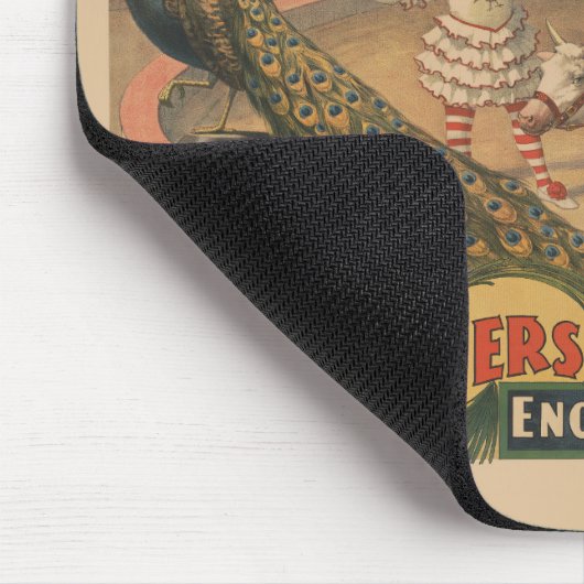 Een optredende zebu en pauw met clown trainer muismat (Hoek)