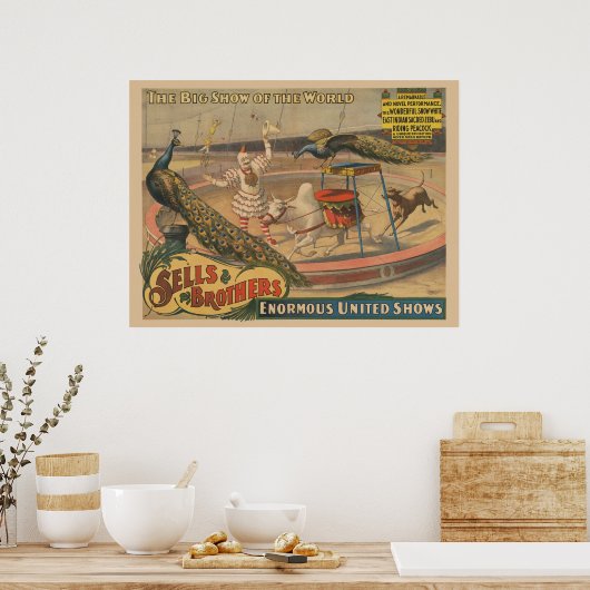 Een optredende zebu en pauw met clown trainer poster (Keuken)