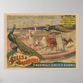 Een optredende zebu en pauw met clown trainer poster (Voorkant)