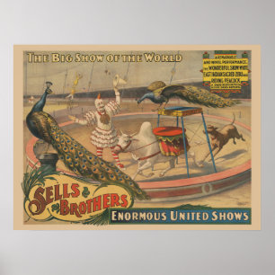 Een optredende zebu en pauw met clown trainer poster