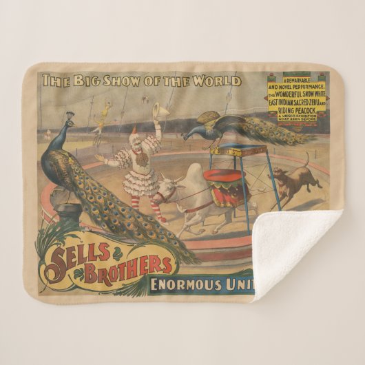 Een optredende zebu en pauw met clown trainer sherpa deken (Voorkant (horizontaal))