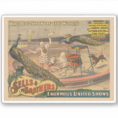 Een optredende zebu en pauw met clown trainer sticker (Voorkant)