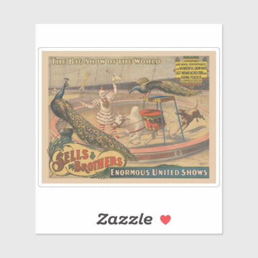 Een optredende zebu en pauw met clown trainer sticker (Vel)