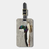 Een opvallende bufferwagen zwemt door bagagelabel (Voorkant verticaal)