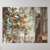 Een Oranje boom in een Romantische oude stad Poster (Voorkant)