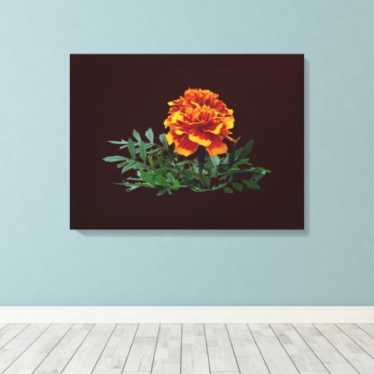 Een Oranje goudsbloem met gele tips Canvas Afdruk (Insitu (Houten vloer))