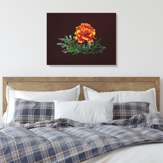 Een Oranje goudsbloem met gele tips Canvas Afdruk (Insitu (Slaapkamer))