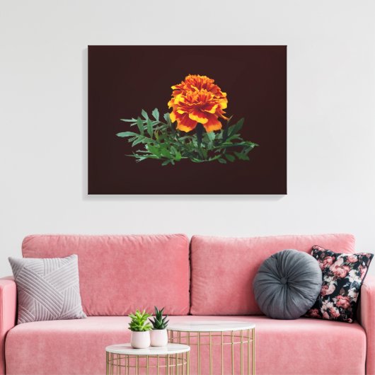 Een Oranje goudsbloem met gele tips Canvas Afdruk (Insitu (Woonkamer))
