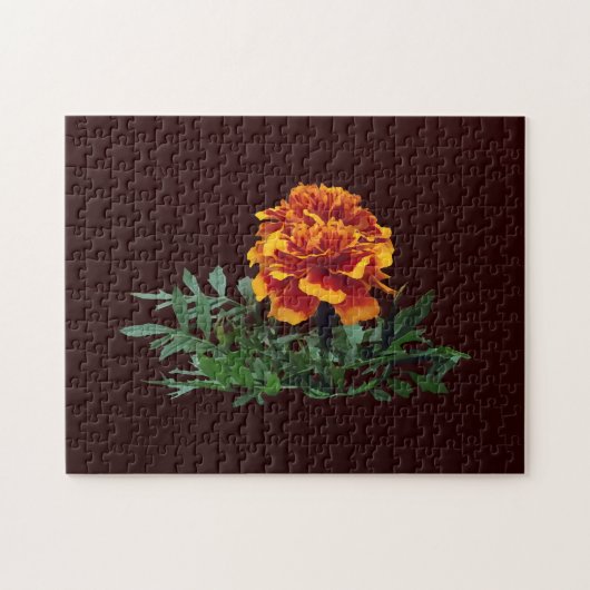 Een Oranje goudsbloem met gele tips Legpuzzel (Horizontaal)