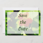 Eén Oranje Oost-Indische Kers Save the Date (Achterkant)
