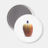 Eén Oranje pompoen Magneet (Voorkant / Achterkant)