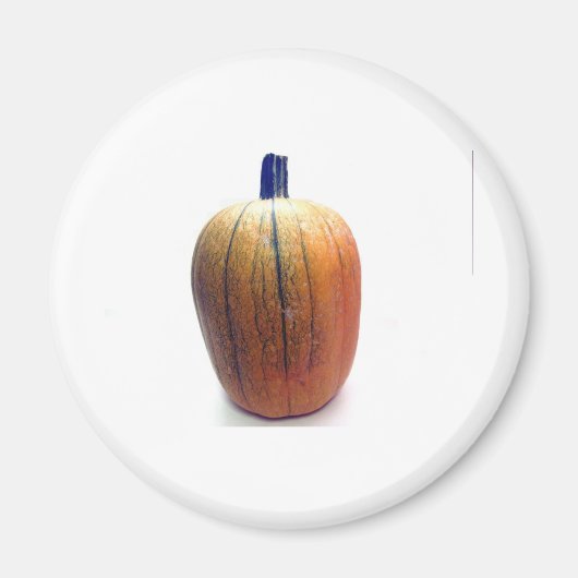 Eén Oranje pompoen Magneet (Voorkant)