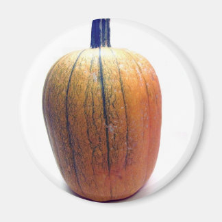 Eén Oranje pompoen Magneet