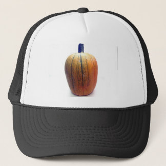 Eén Oranje pompoen Trucker Pet