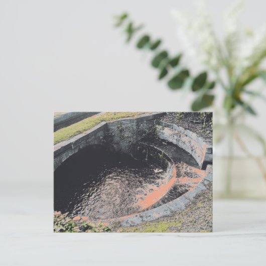 Een Oranje pool in Welshpool Briefkaart (Staand voorkant)