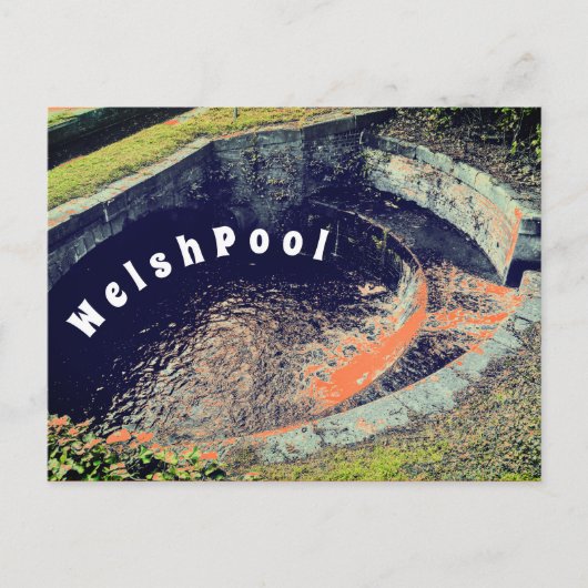 Een Oranje pool in Welshpool-fotografie Briefkaart (Voorkant)