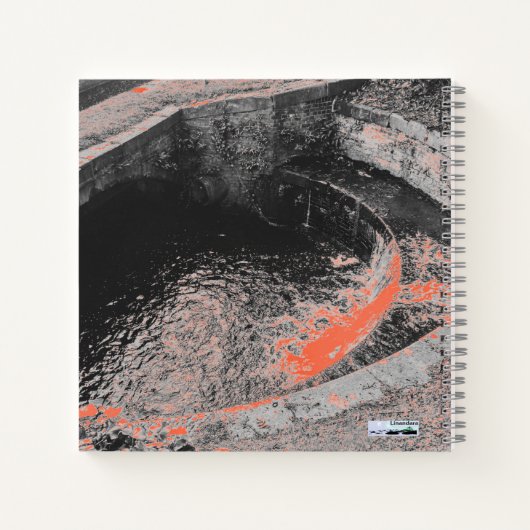 Een Oranje pool in Welshpool I Love Wales Notitieboek (Achterkant)