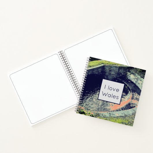 Een Oranje pool in Welshpool I Love Wales Notitieboek (Binnen)