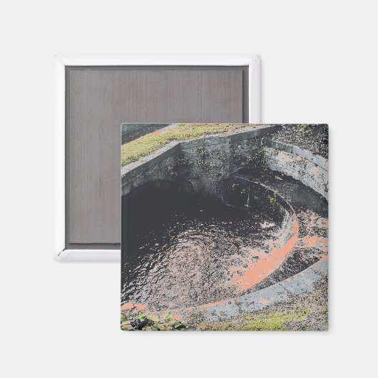 Een Oranje pool in Welshpool Magneet (Voorkant / Achterkant)