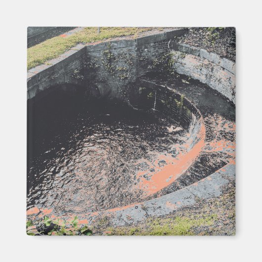 Een Oranje pool in Welshpool Magneet (Voorkant)