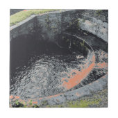 Een Oranje pool in Welshpool Tegeltje (Voorkant)