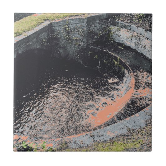 Een Oranje pool in Welshpool Tegeltje (Voorkant)