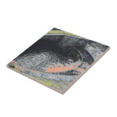 Een Oranje pool in Welshpool Tegeltje (Zijkant)